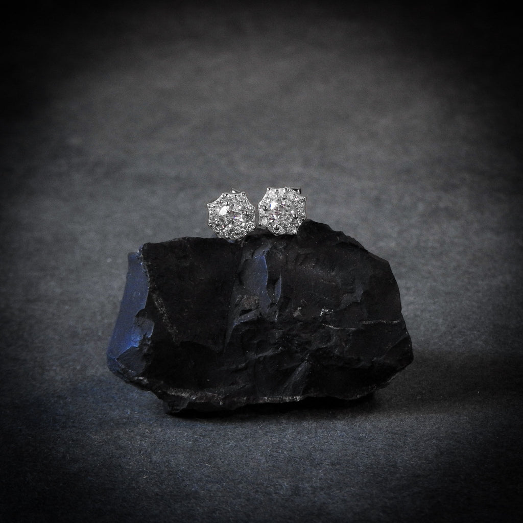 Spider Earrings Plata