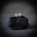 Spider Earrings Plata