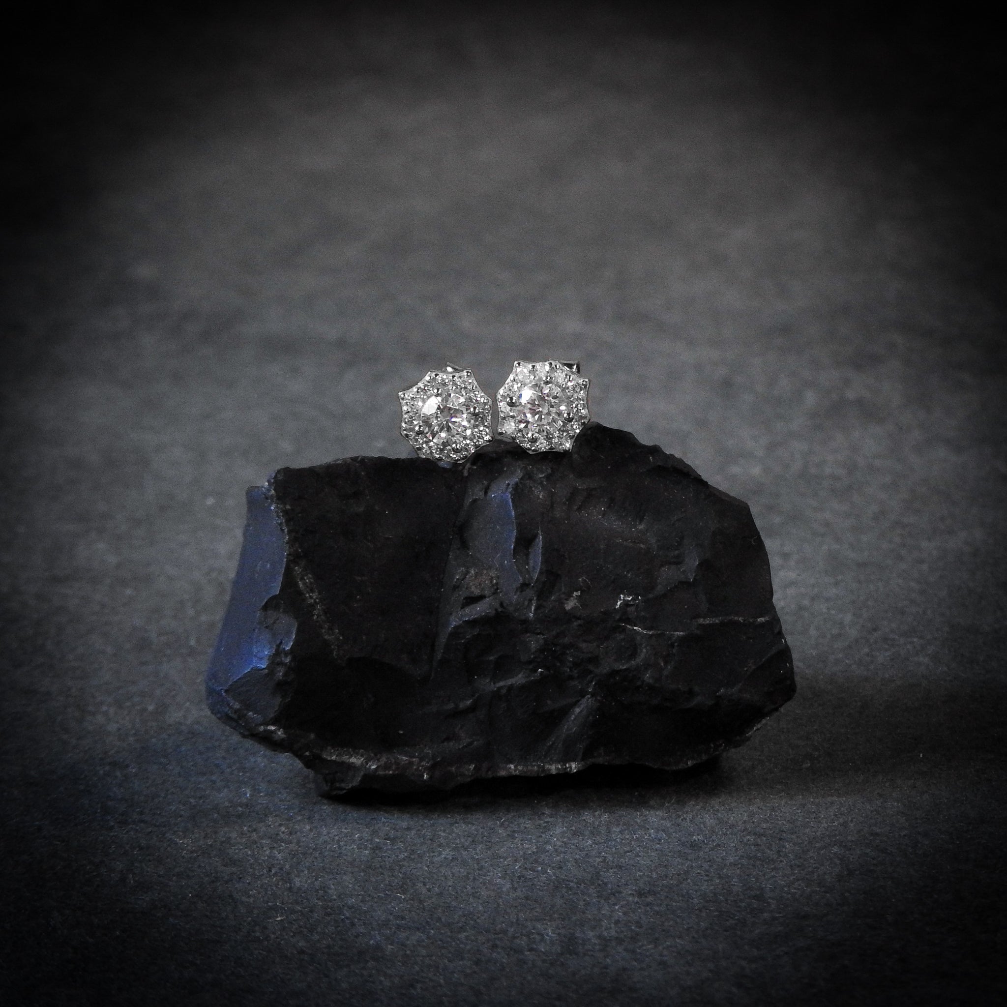 Spider Earrings Plata
