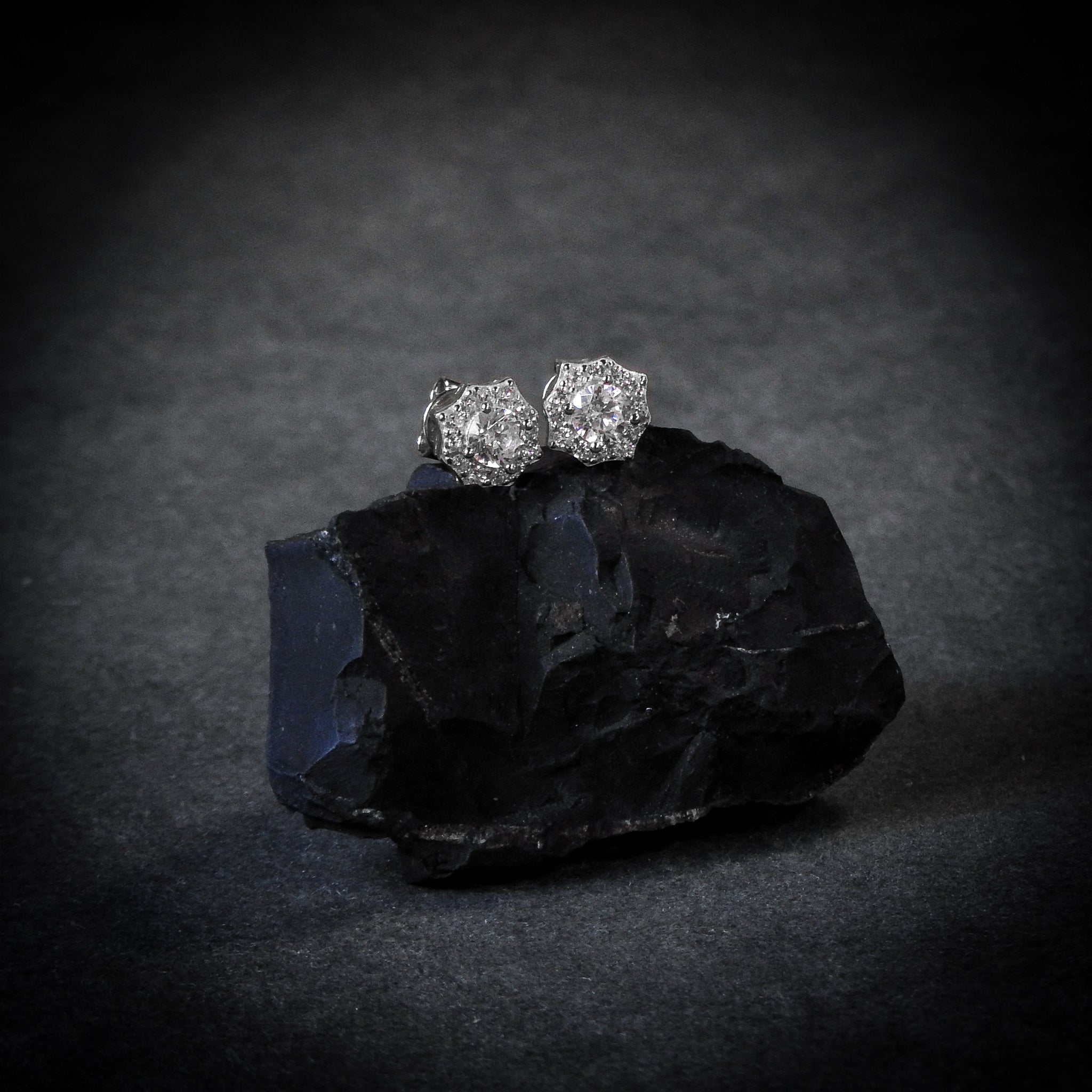 Spider Earrings Plata
