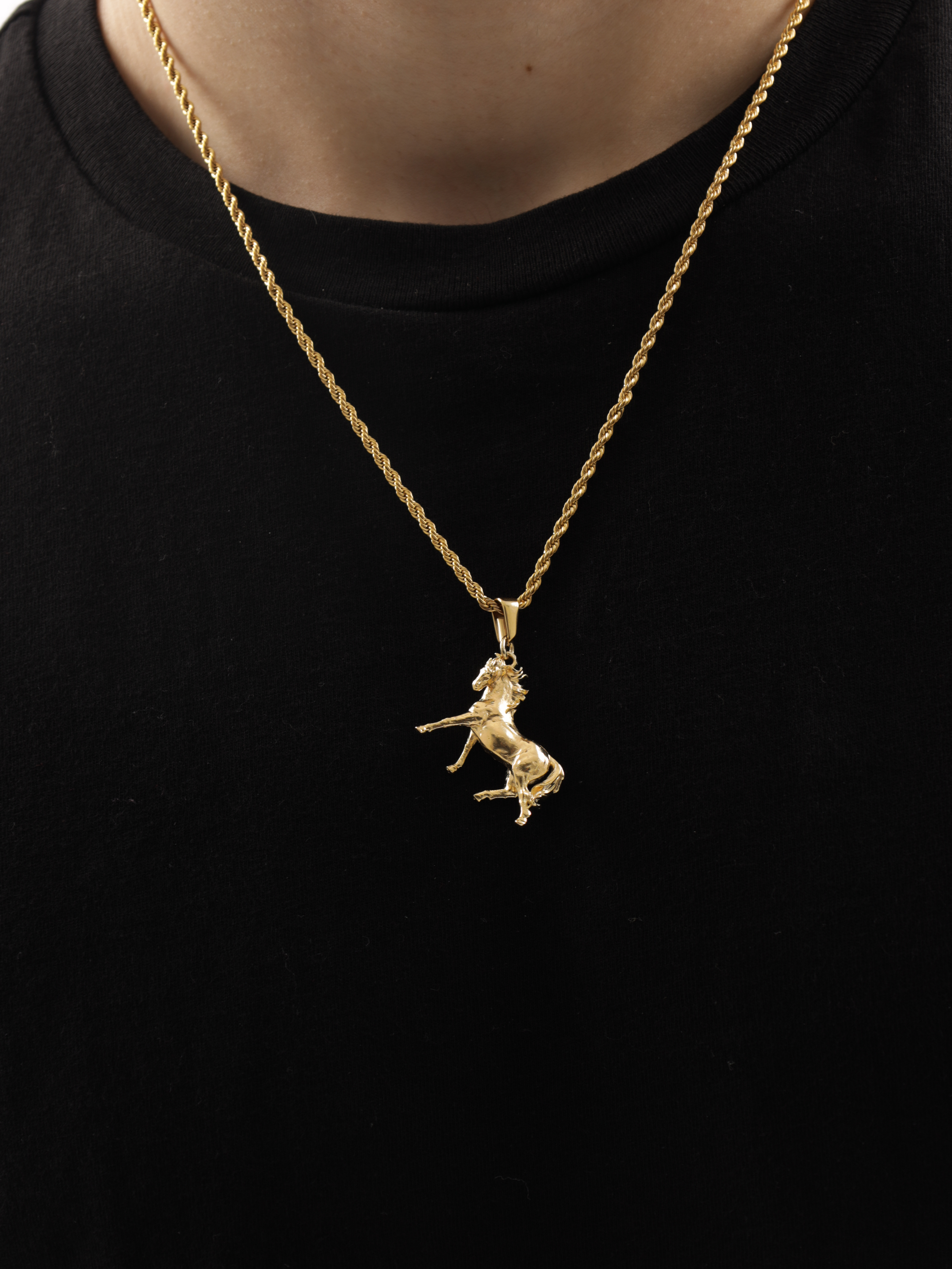 Golden Horse