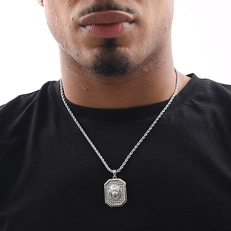 The Lion Plata